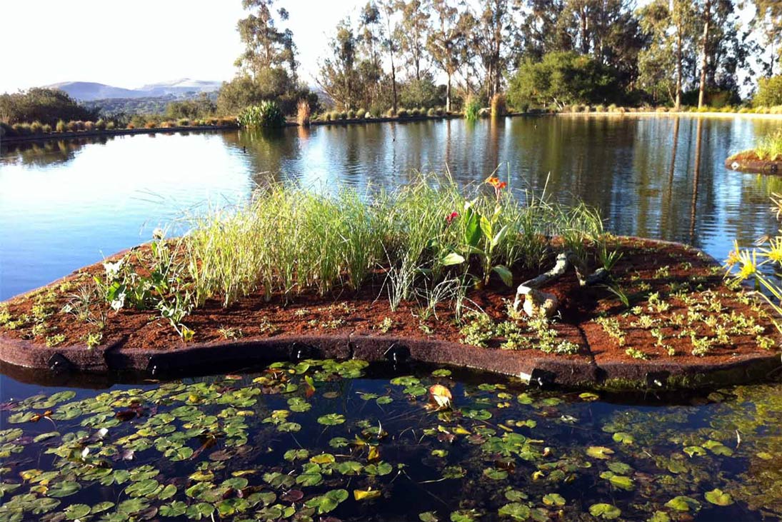 Floating Islands West BioHaven® Floating Treatment Technology