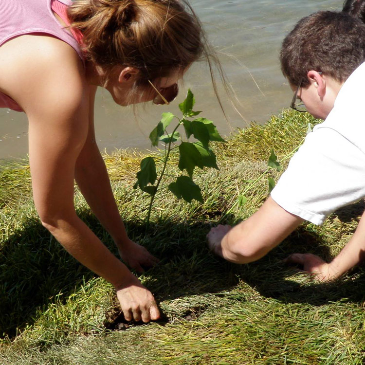 BioHaven® floating treatment wetland