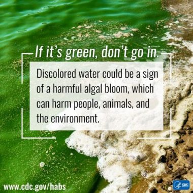 a CDC warning about the seriousness of harmful algae blooms 