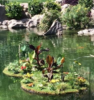 two small floating island planters will work to clean algae