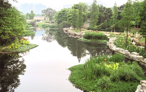 Transform Smelly Canal into a destination river walk