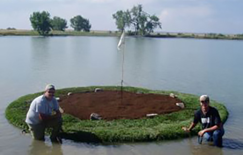 Golf floating islands pond
