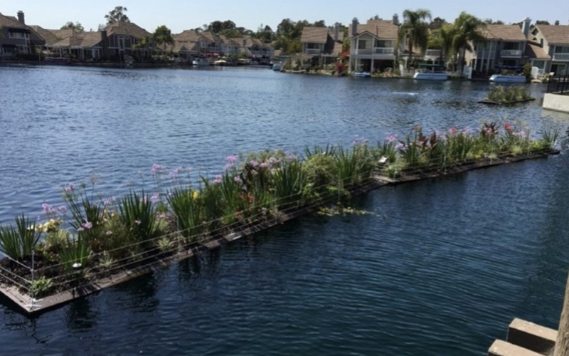 A lakeside housing community that once struggled with green water, bad smells, and fish-kills