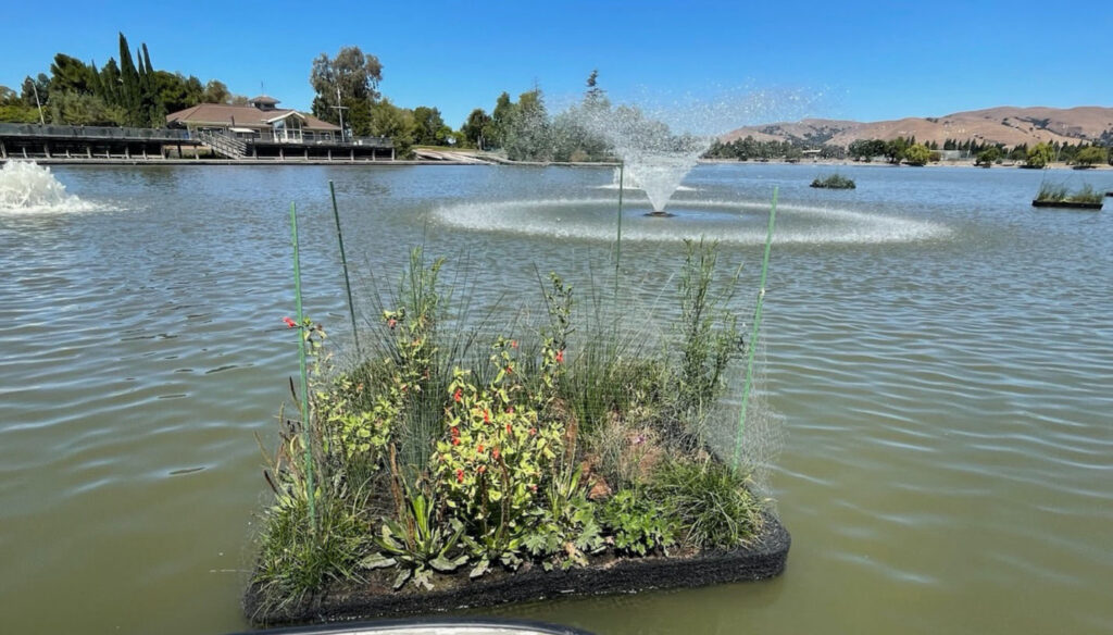 Testing Water Quality Floating Islands West